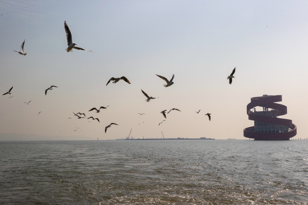 2021年12月30日，紅嘴鷗在太湖隧道馬山段一座“碧玉螺”造型的風(fēng)亭上方水域飛翔。