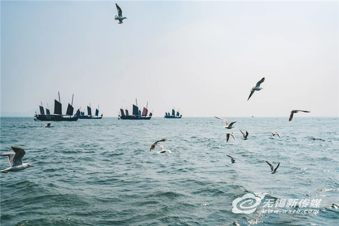 以“綠”為底 山水生“金”，無錫鐵腕“治太”“繡”出生態(tài)新城