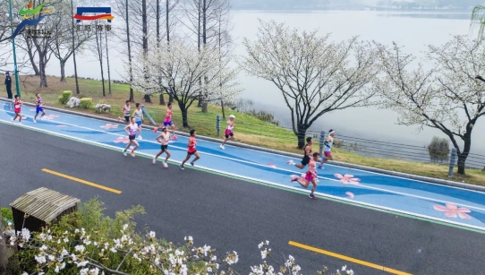 錫馬將至，市民觀賽指南來了！