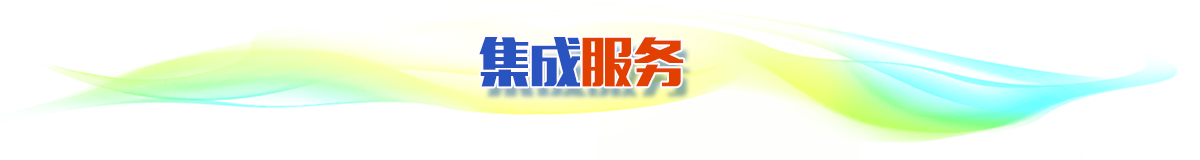 集成服務(wù) 集成服務(wù)